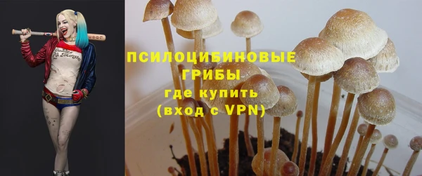 молекула духа Алзамай