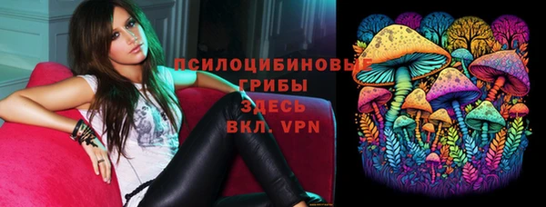 spice Алексеевка