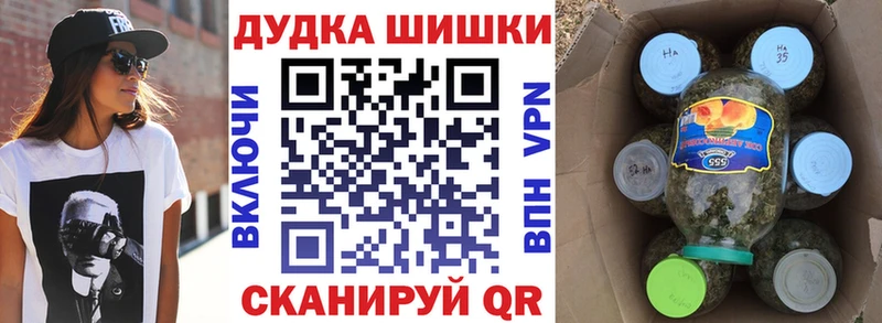 где купить Пойковский Каннабис конопля